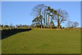 Field path to Longscales near Kettlesing Bottom