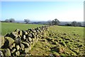 Dry-stone wall near Sleights Farm