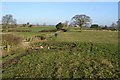 Footpath near Swincliffe