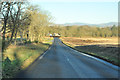 Minor road near Brechin