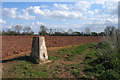 Field at New House Farm, with trig point