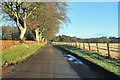 Minor road near Dunlappie