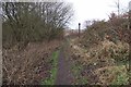 Footpath at Cox Green