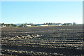 Farmland at Luthermuir