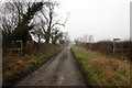 SP9827 : Footpath crosses The Lane by Philip Jeffrey