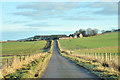 Minor road near Jacksbank