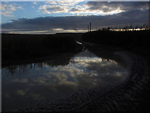 SE8665 : Evening light & flooded track, south of Wharram le Street by Colin Park
