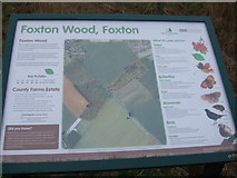 TL4147 : Fowlmere to Foxton footpath by David Beresford