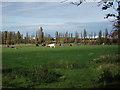 Looking across fields towards Middlemarch Business Park