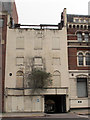 Derelict building with tree