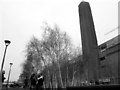 TQ3180 : Birches outside the Tate Modern by Stephen Craven