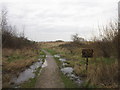 The Noddle Hill Nature Reserve, Bransholme, Hull