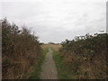 The Noddle Hill Nature Reserve, Bransholme, Hull