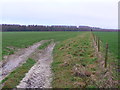 Pasture Land at Quarleston Down