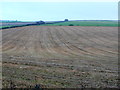 ST8705 : Fields at Bryanston by Nigel Mykura