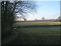 Footpath beside Old Plantation, Potterton