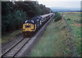 The Railway nr Muir of Ord