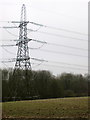 Pylon by Grove Spinney