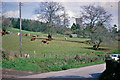 Rural Springtime scene at Hockworthy, 1963