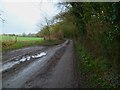 Nore Wood Lane looking north