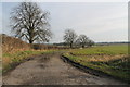 Farm track off Balderton Road