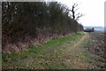 Footpath towards Tyringham