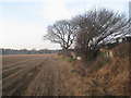Stubble field behind the houses in Ladycroft Road