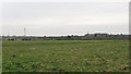 Pylons over Farmland