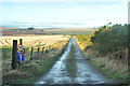 Farm road to Muir of Barras