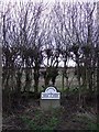 Boundary stone and hedgerow, Wolviston Mill Lane