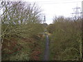 Cycle track on dismantled railway