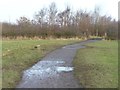 SE3716 : Waterlogged path, Anglers Country Park by Christine Johnstone