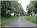 A tree lined road,  Linton