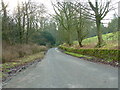 Road, west side of Stable Wood