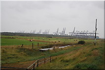 TM2536 : Port of Felixstowe across Trimley Marshes by N Chadwick