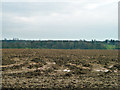 Ploughed field