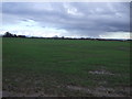 Farmland off Spring Lane