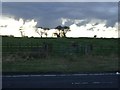 NZ3726 : Farmland off Stockton Road by JThomas