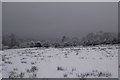SD7511 : Snowy Monday in Harwood by philandju