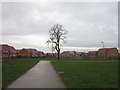 Newly built houses at Kingswood, Hull