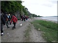 SD4477 : Morecambe Bay Walk by Rude Health 