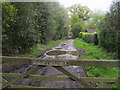 Path heading into Benyon