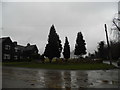 Houses and garden on Woodmansterne Road, Woodcote