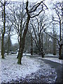 Grangewood Park, after a scattering of snow