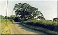 Approaching site of Calbourne & Shalfleet Halt, 1985