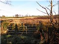 Mullaghbane Townland