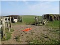 Looking Through Gate To Bryn-hir