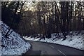 Pink Road through Keepershill Wood