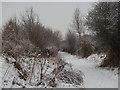 Stockley Trail near Bolsover