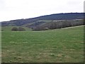 View towards South Cleeve Grove